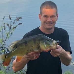 Meet your Posher, Ryan